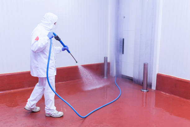 Best Window and Screen Pressure Cleaning in Greene, IA