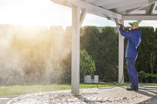 Best Fence Cleaning and Maintenance in Greene, IA