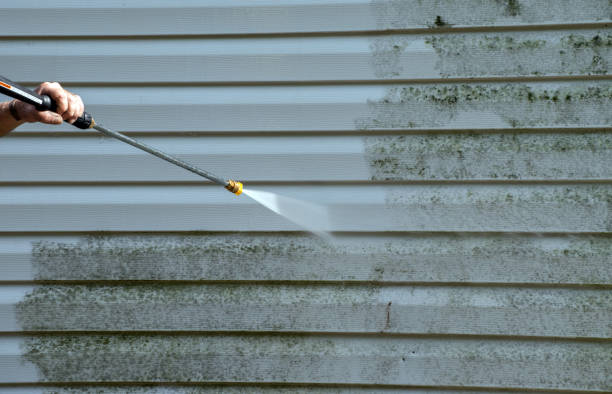 Best Deck and Patio Pressure Washing in Greene, IA